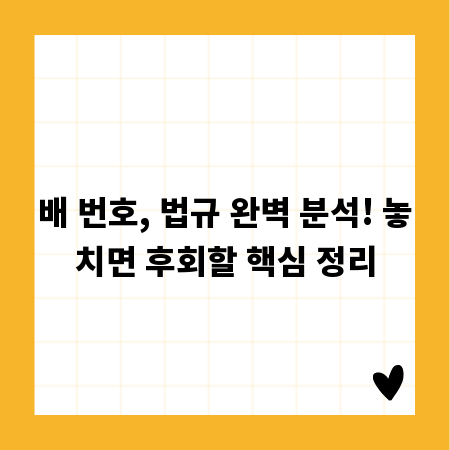 배 번호, 법규 완벽 분석! 놓치면 후회할 핵심 정리