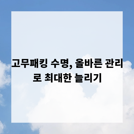 고무패킹 수명, 올바른 관리로 최대한 늘리기