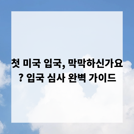 첫 미국 입국, 막막하신가요? 입국 심사 완벽 가이드