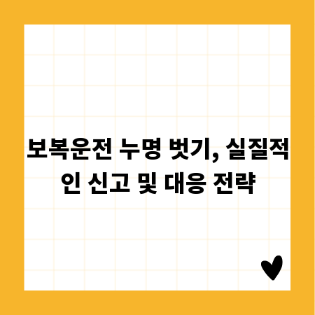 보복운전 누명 벗기, 실질적인 신고 및 대응 전략