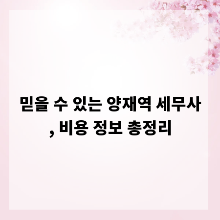 믿을 수 있는 양재역 세무사, 비용 정보 총정리