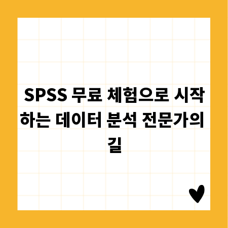 SPSS 무료 체험으로 시작하는 데이터 분석 전문가의 길