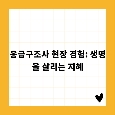응급구조사 현장 경험: 생명을 살리는 지혜