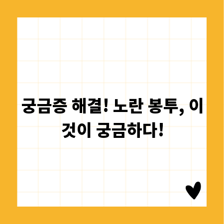 궁금증 해결! 노란 봉투, 이것이 궁금하다!