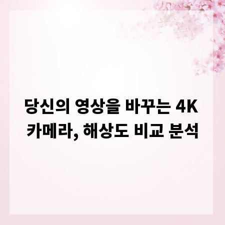 당신의 영상을 바꾸는 4K 카메라, 해상도 비교 분석