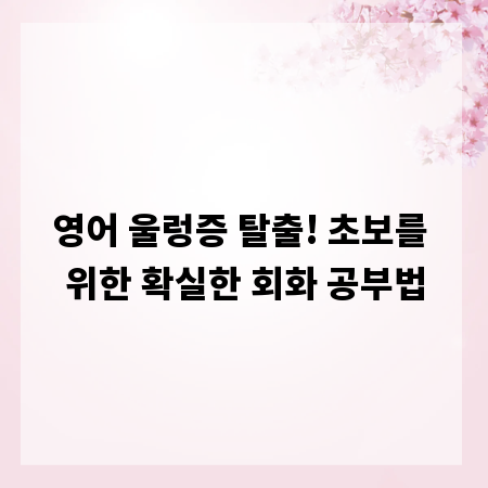 영어 울렁증 탈출! 초보를 위한 확실한 회화 공부법