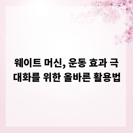 웨이트 머신, 운동 효과 극대화를 위한 올바른 활용법
