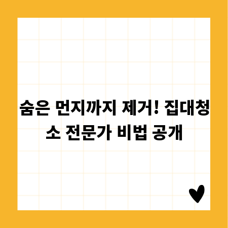 숨은 먼지까지 제거! 집대청소 전문가 비법 공개