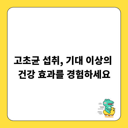 유튜브 광고 비용, 투자 대비 효과 극대화 가이드
