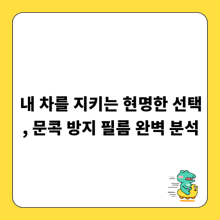 내 차를 지키는 현명한 선택, 문콕 방지 필름 완벽 분석