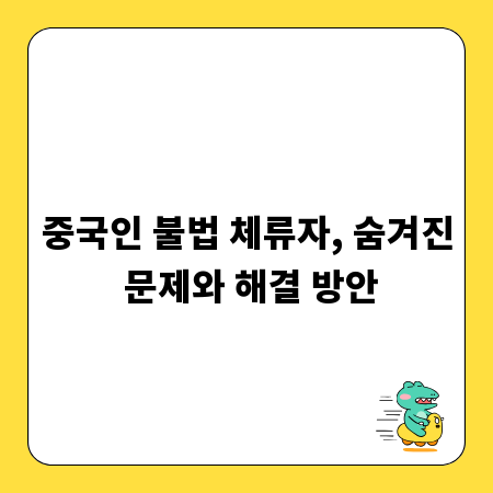 중국인 불법 체류자, 숨겨진 문제와 해결 방안