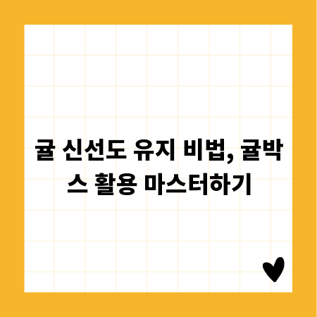 귤 신선도 유지 비법, 귤박스 활용 마스터하기