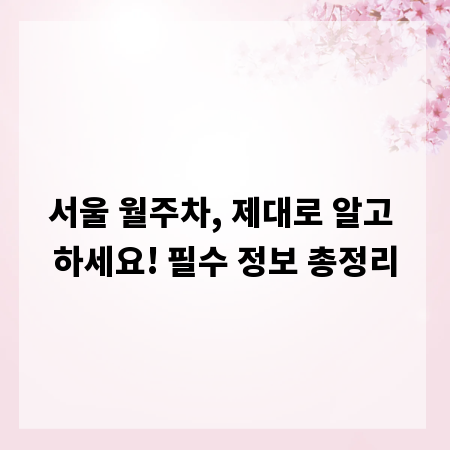 서울 월주차, 제대로 알고 하세요! 필수 정보 총정리