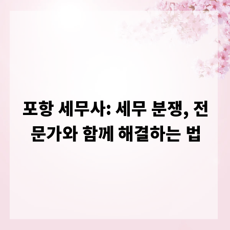 포항 세무사: 세무 분쟁, 전문가와 함께 해결하는 법