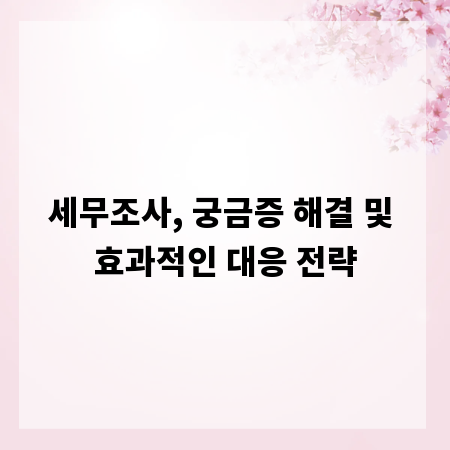 세무조사, 궁금증 해결 및 효과적인 대응 전략