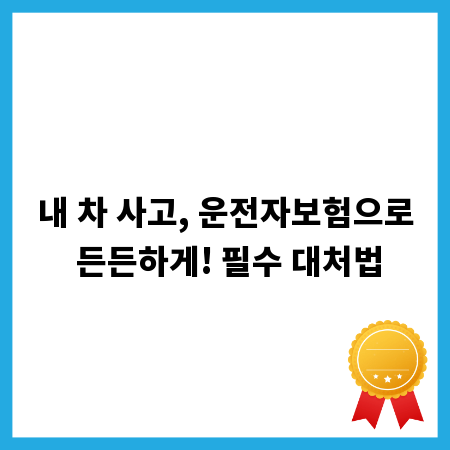 내 차 사고, 운전자보험으로 든든하게! 필수 대처법