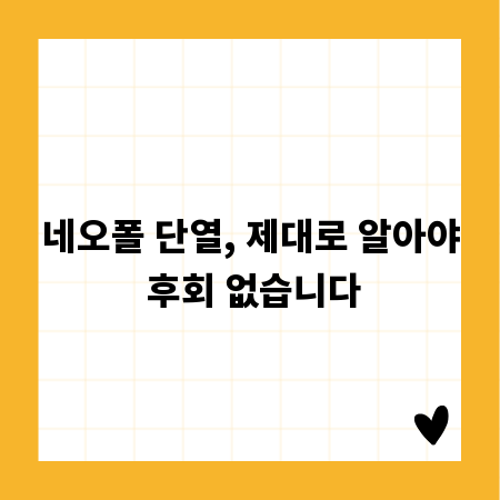 네오폴 단열, 제대로 알아야 후회 없습니다