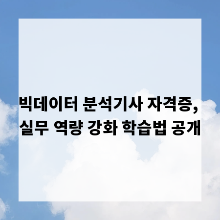 빅데이터 분석기사 자격증, 실무 역량 강화 학습법 공개