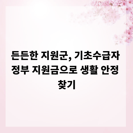 든든한 지원군, 기초수급자 정부 지원금으로 생활 안정 찾기