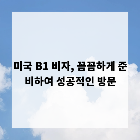 미국 B1 비자, 꼼꼼하게 준비하여 성공적인 방문