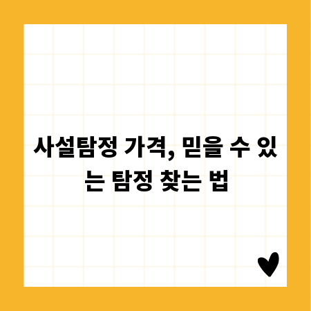 사설탐정 가격, 믿을 수 있는 탐정 찾는 법