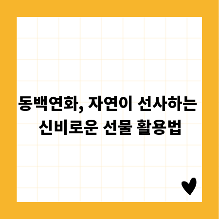 동백연화, 자연이 선사하는 신비로운 선물 활용법