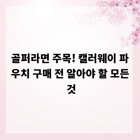 골퍼라면 주목! 캘러웨이 파우치 구매 전 알아야 할 모든 것