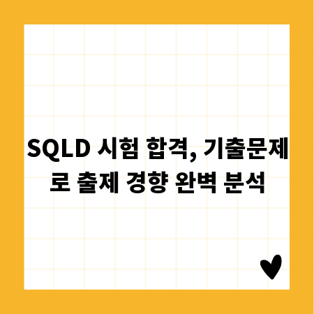 SQLD 시험 합격, 기출문제로 출제 경향 완벽 분석