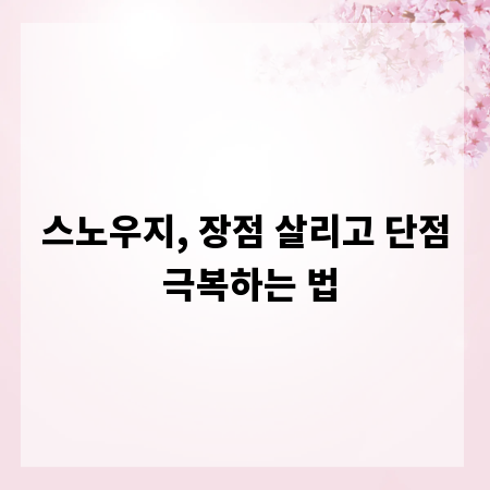 스노우지, 장점 살리고 단점 극복하는 법