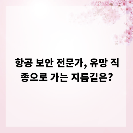 항공 보안 전문가, 유망 직종으로 가는 지름길은?