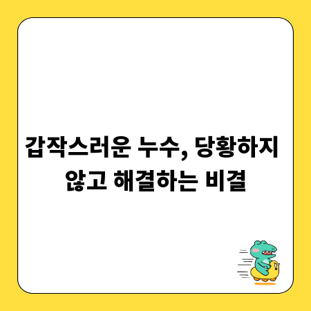 갑작스러운 누수, 당황하지 않고 해결하는 비결
