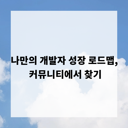 나만의 개발자 성장 로드맵, 커뮤니티에서 찾기