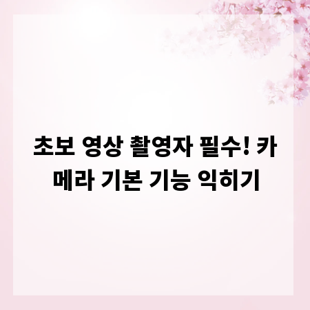초보 영상 촬영자 필수! 카메라 기본 기능 익히기