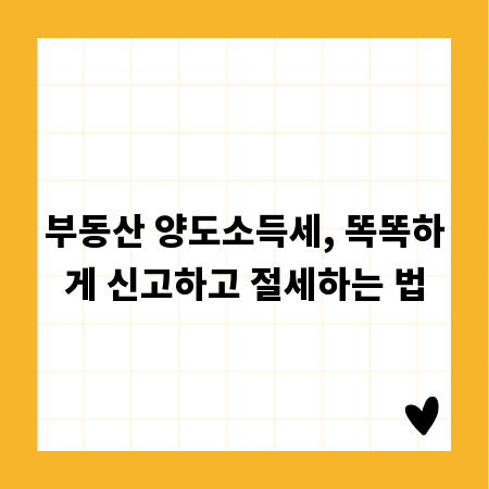 영어독학 성공 비법, 나만의 학습법 찾기