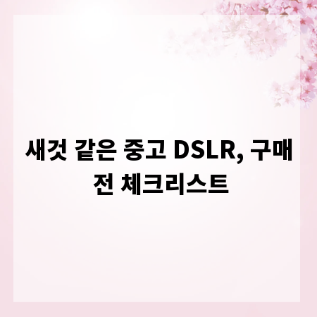 새것 같은 중고 DSLR, 구매 전 체크리스트