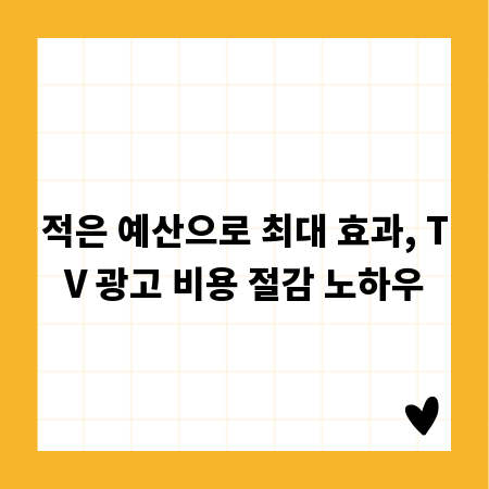 적은 예산으로 최대 효과, TV 광고 비용 절감 노하우