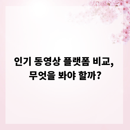 인기 동영상 플랫폼 비교, 무엇을 봐야 할까?