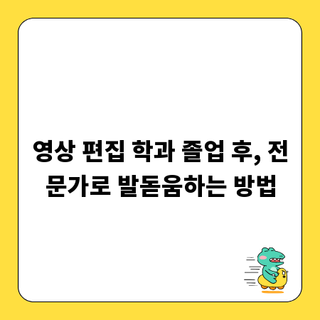 영상 편집 학과 졸업 후, 전문가로 발돋움하는 방법