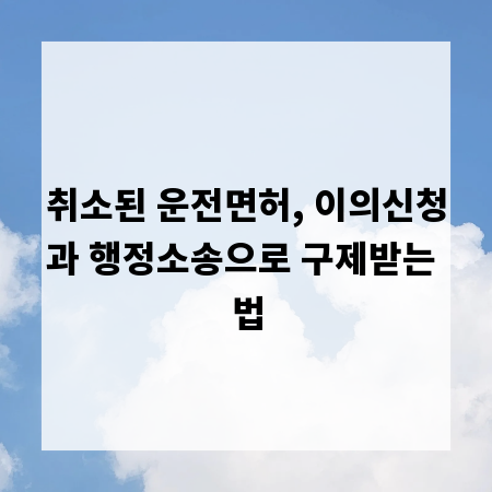 취소된 운전면허, 이의신청과 행정소송으로 구제받는 법