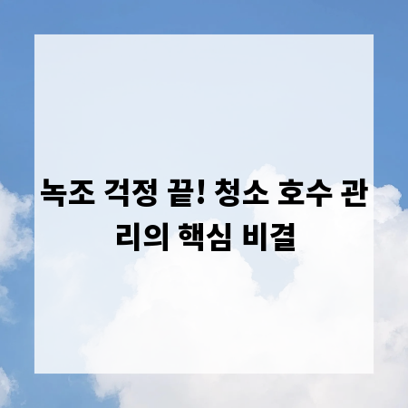 녹조 걱정 끝! 청소 호수 관리의 핵심 비결