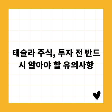 테슬라 주식, 투자 전 반드시 알아야 할 유의사항