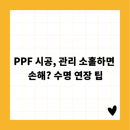 PPF 시공, 관리 소홀하면 손해? 수명 연장 팁