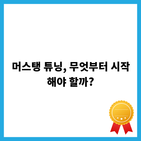 머스탱 튜닝, 무엇부터 시작해야 할까?