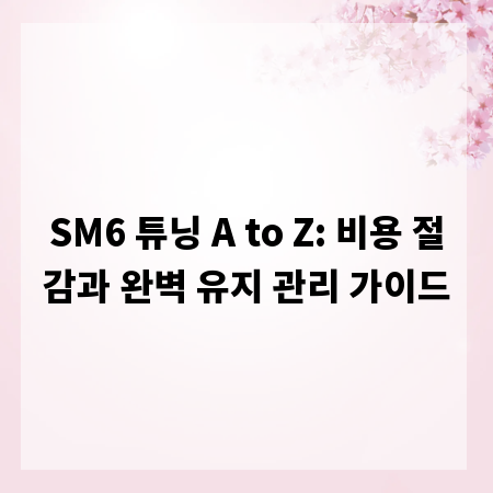 SM6 튜닝 A to Z: 비용 절감과 완벽 유지 관리 가이드