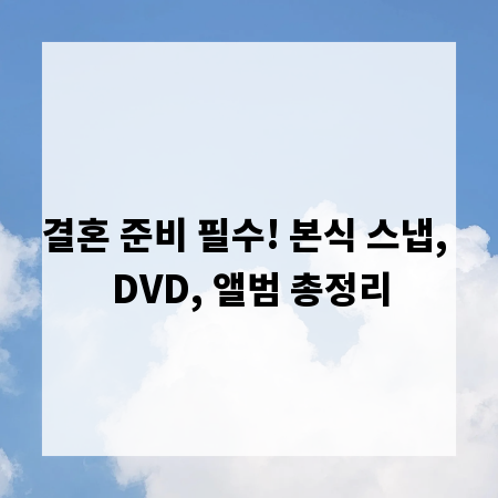 결혼 준비 필수! 본식 스냅, DVD, 앨범 총정리