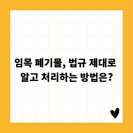 꾸준한 블로그 운영, 당신의 가치를 높이는 길