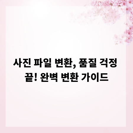 사진 파일 변환, 품질 걱정 끝! 완벽 변환 가이드