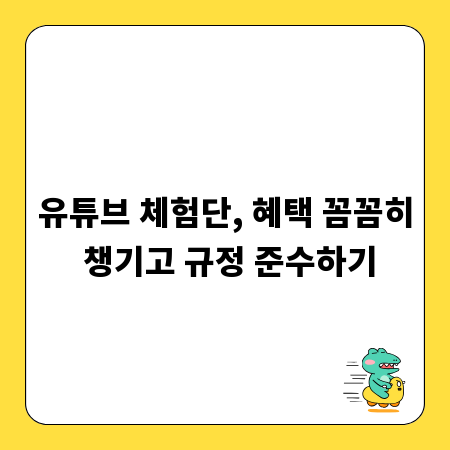 유튜브 체험단, 혜택 꼼꼼히 챙기고 규정 준수하기