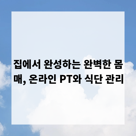 집에서 완성하는 완벽한 몸매, 온라인 PT와 식단 관리