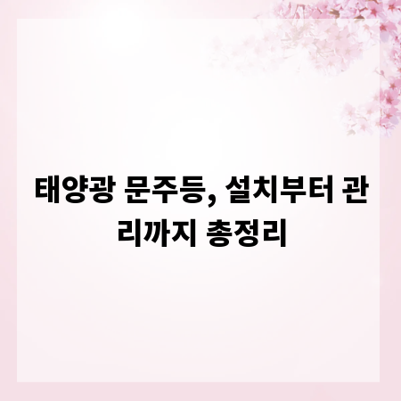 태양광 문주등, 설치부터 관리까지 총정리